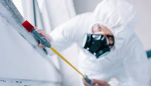 Best Pest Prevention Services  in Fairfield Harbour, NC